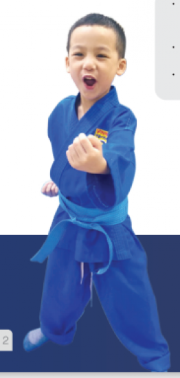 Câu lạc bộ võ Vovinam